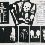 pic card_skeleton_A5_laminated