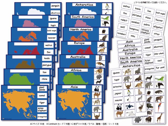 pic cards_continents_laminated