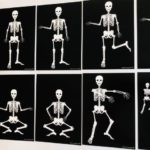 pic card_skeleton exercise