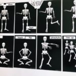 pic card_skeleton exercise_laminated