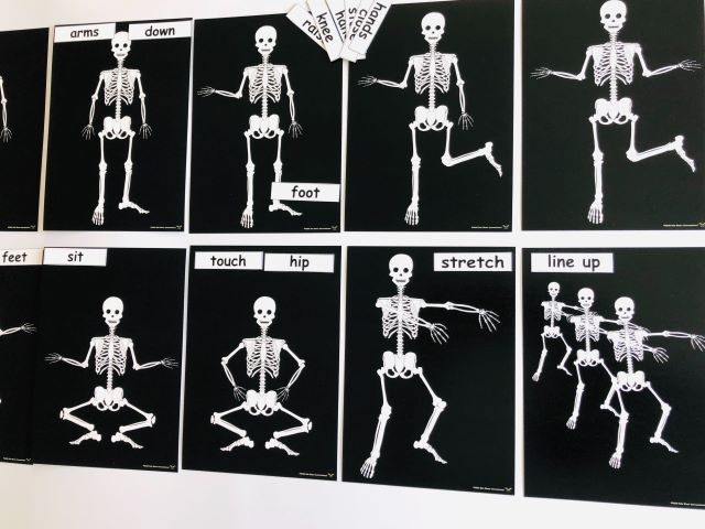 pic card_skeleton exercise