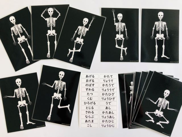 pic card_skeleton exercise_Japanese_laminated