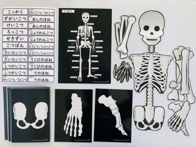 pic card_skeleton_A5_Japanese