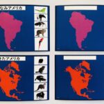 pic cards_continents_Japanese_laminated
